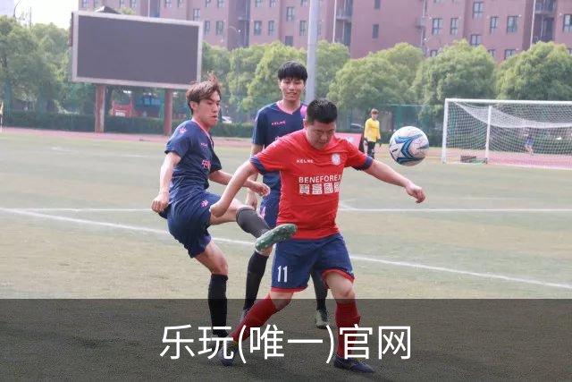 乐玩(唯一)官网